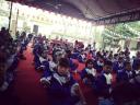 rung chuong vàng 1.jpg - 