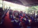 rung chuong vàng.jpg - 
